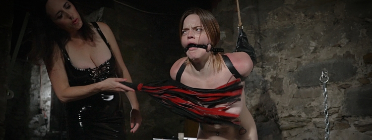 The_Training_Of_Sage